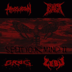 Aftersundown : Split Your Mind II
